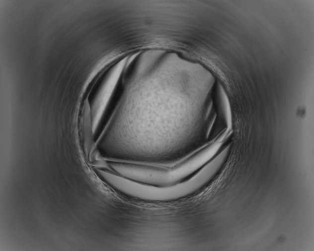 X0000098071138200804251432