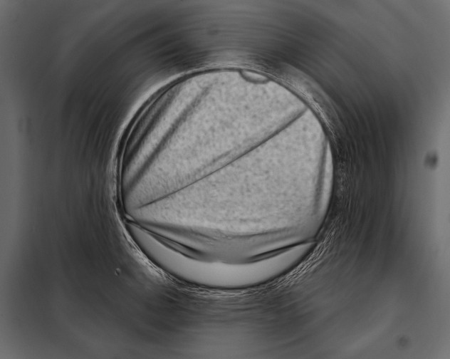 X0000098071140200804251432