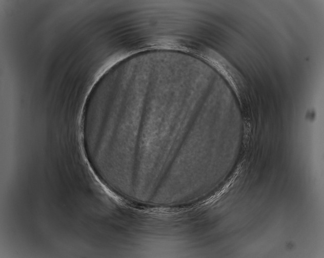 X0000098071141200804251432