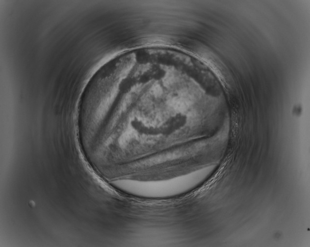 X0000098071142200804251432