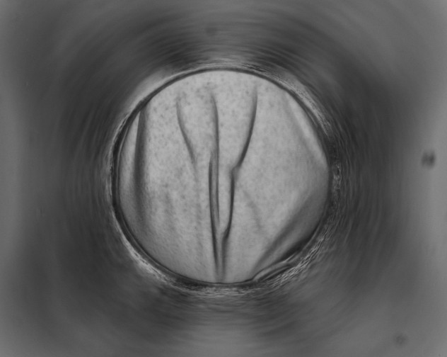 X0000098071143200804251432