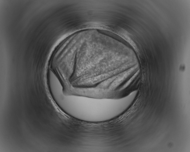 X0000098071144200804251432