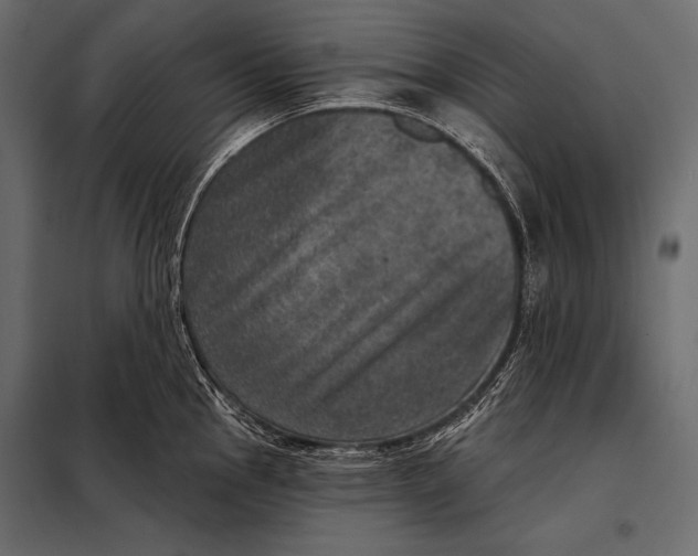 X0000098071145200804251432