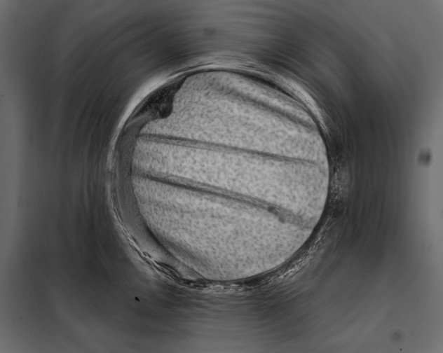 X0000098071146200804251432