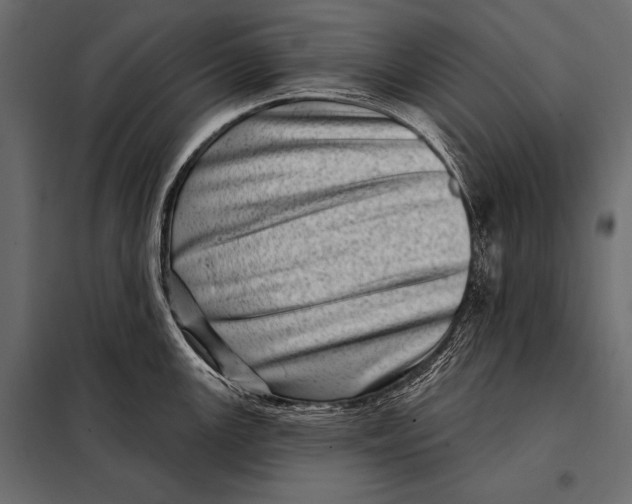 X0000098071147200804251432