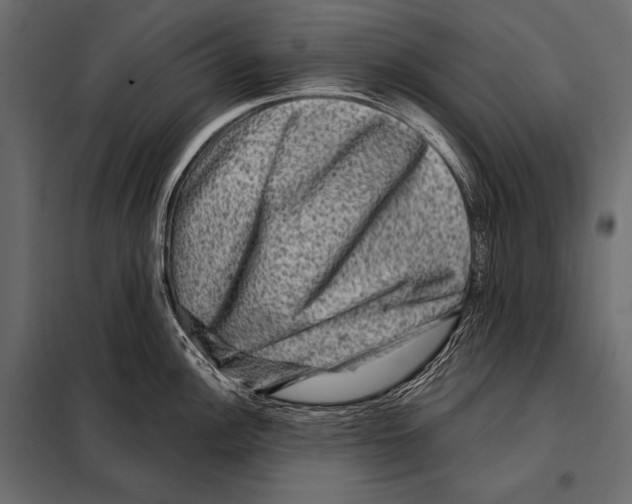 X0000098071148200804251432