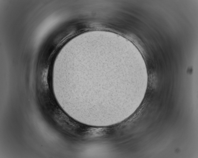 X0000098071150200804251432