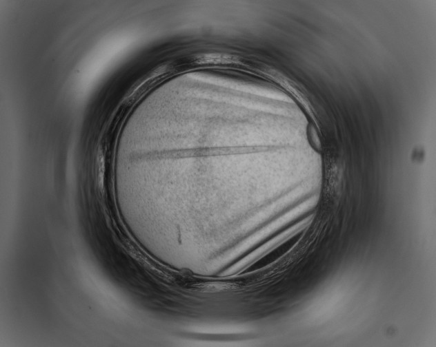 X0000098071151200804251432