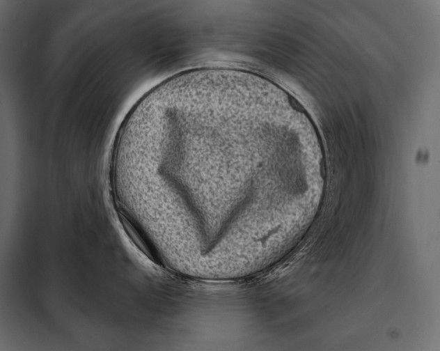 X0000098071152200804251432