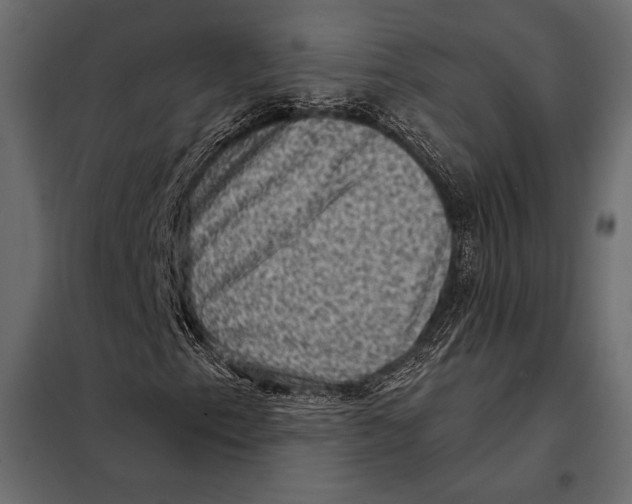 X0000098071153200804251431