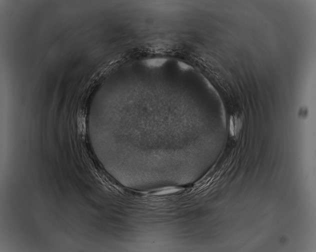 X0000098071155200804251431