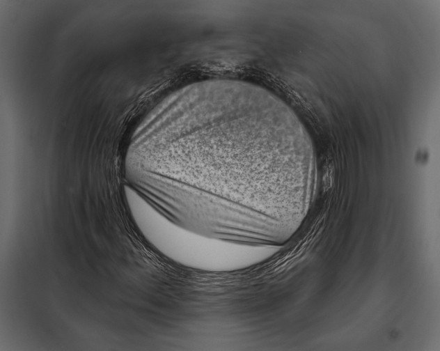 X0000098071156200804251431