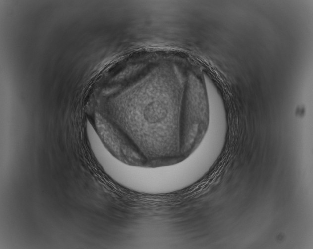 X0000098071157200804251431