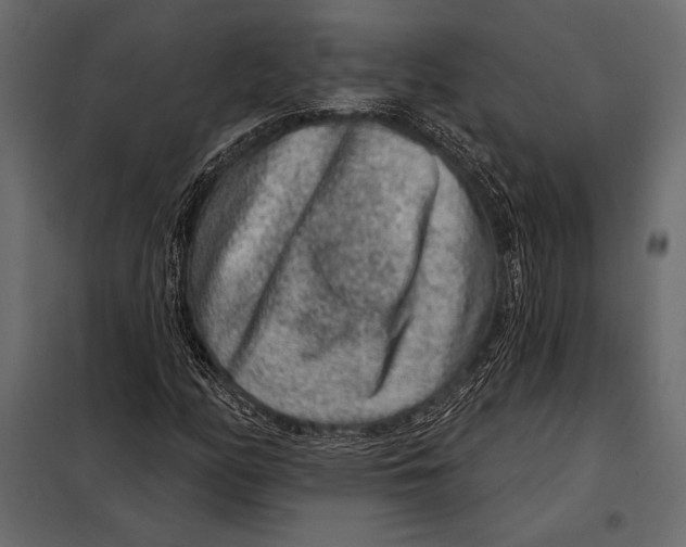 X0000098071158200804251431