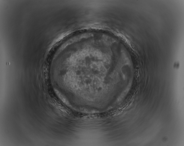 X0000098071159200804251431