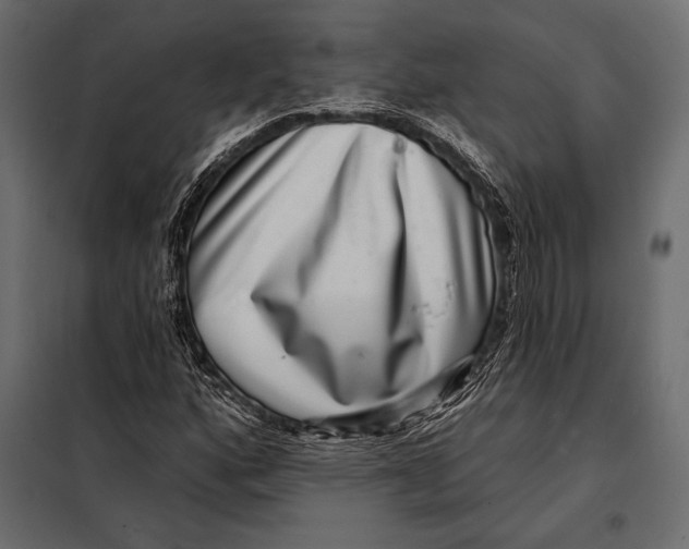 X0000098071160200804251431