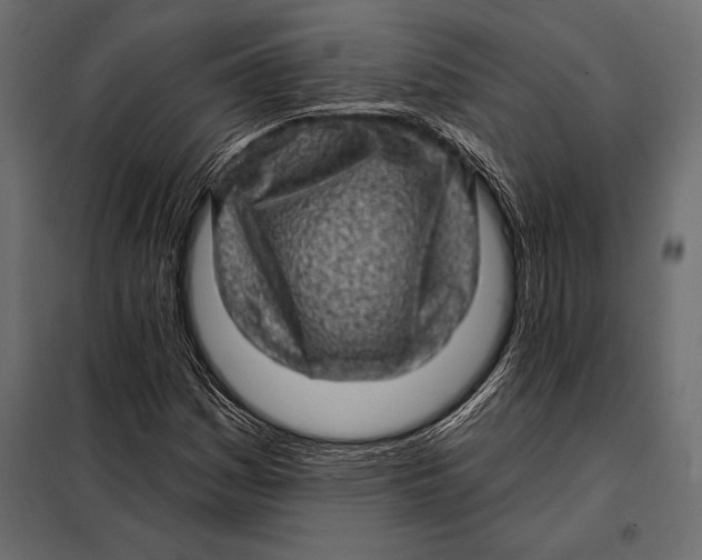 X0000098071161200804251431