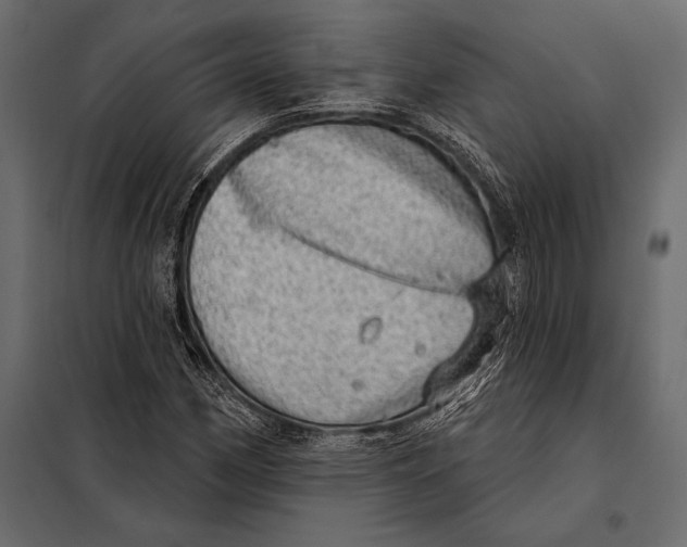 X0000098071162200804251431