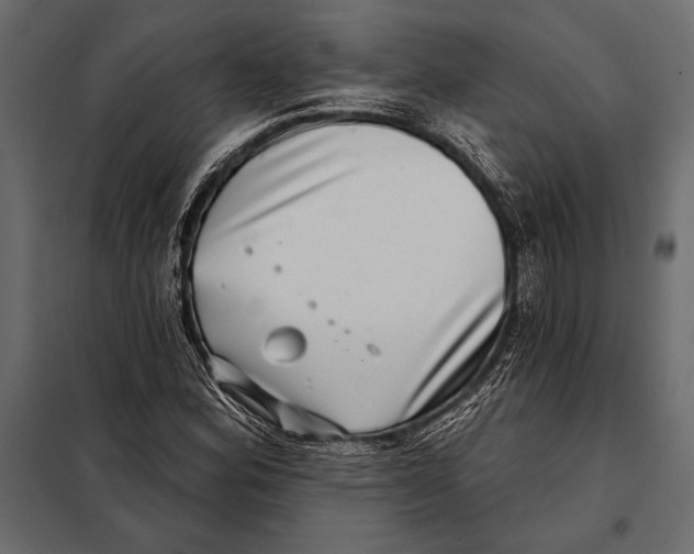 X0000098071164200804251431