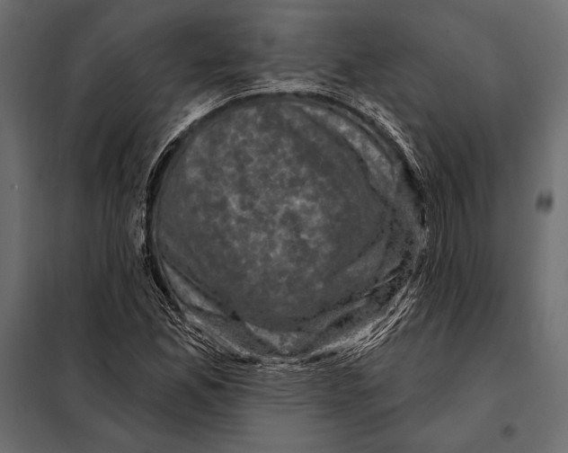 X0000098071165200804251431