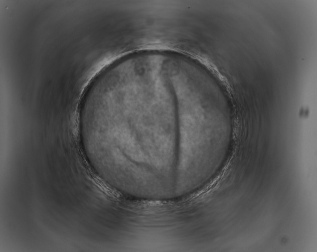 X0000098071167200804251431