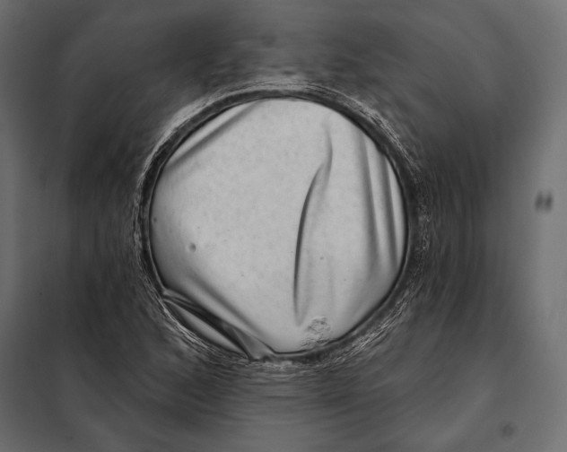 X0000098071168200804251431