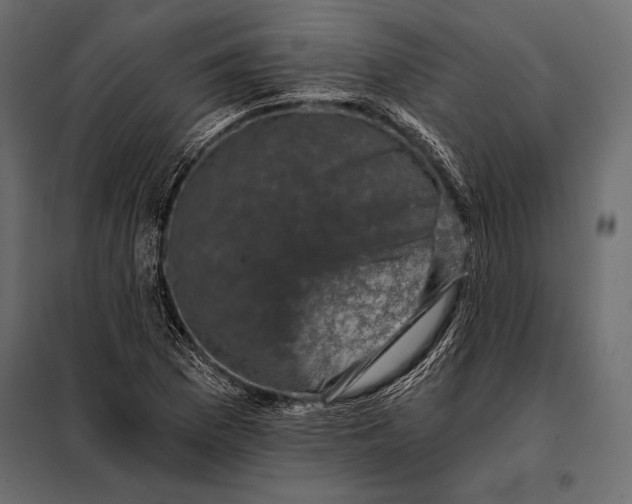 X0000098071169200804251431