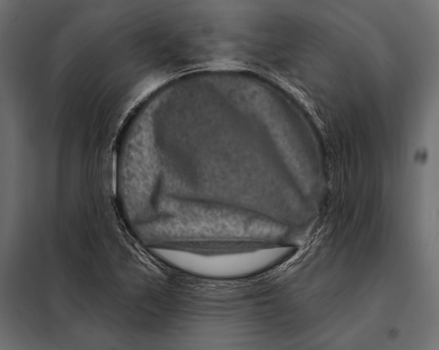 X0000098071171200804251431