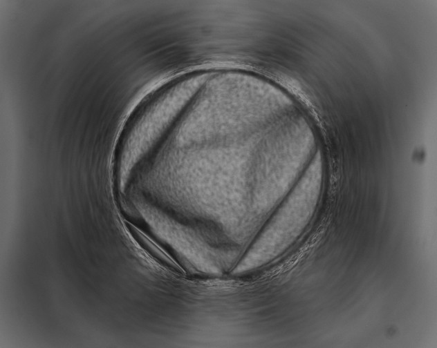 X0000098071181200804251431