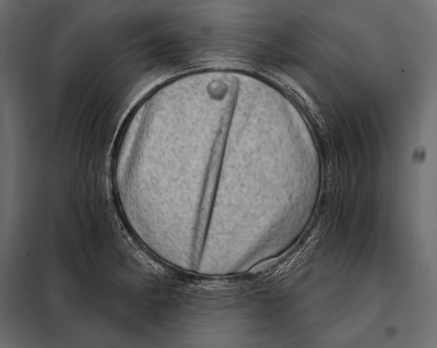 X0000098071182200804251431