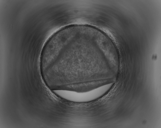 X0000098071183200804251431