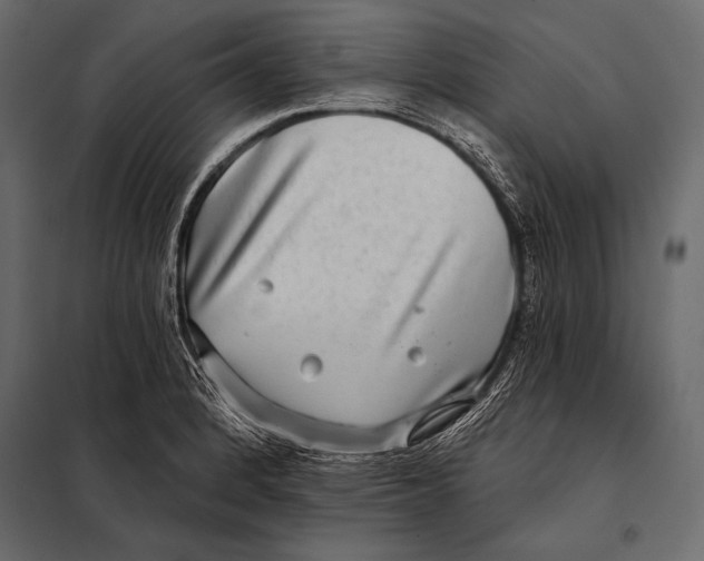 X0000098071184200804251431