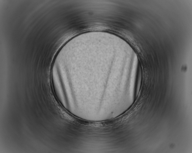 X0000098071186200804251431