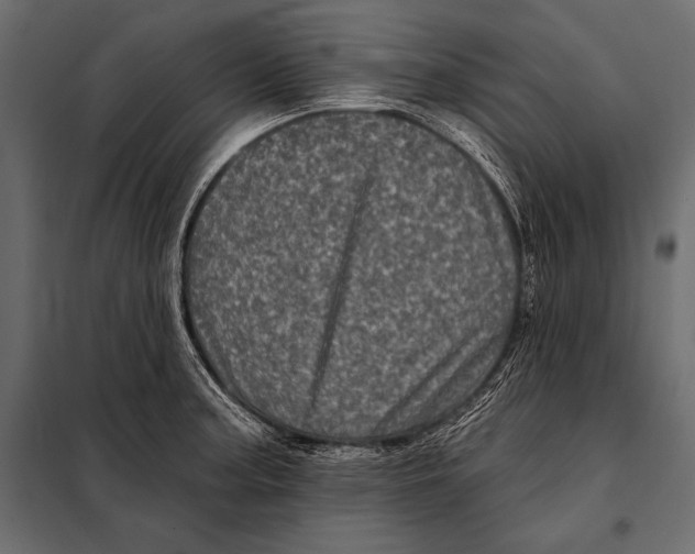 X0000098071187200804251431