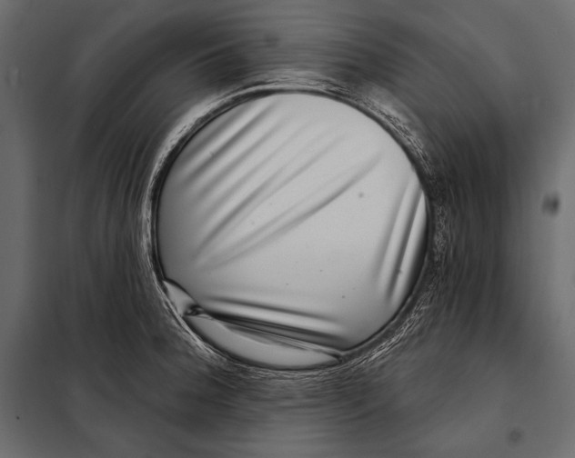 X0000098071188200804251431