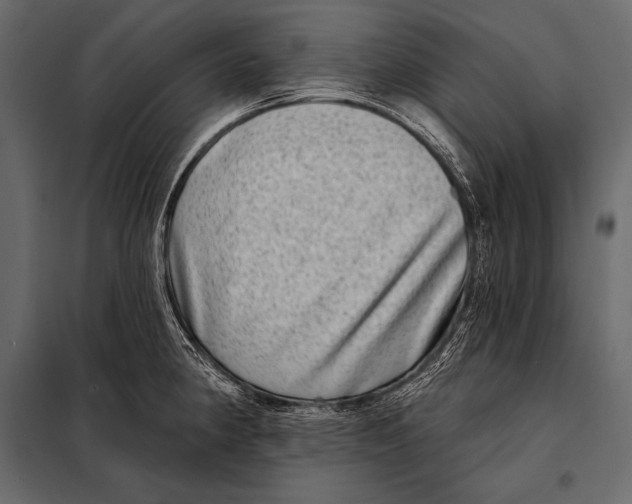 X0000098071190200804251431