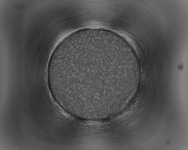 X0000098071191200804251431