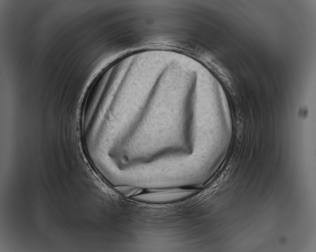 X0000098071192200804251431