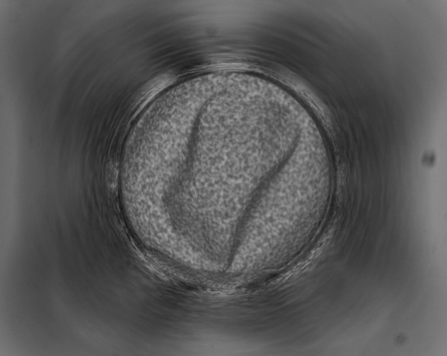 X0000098071193200804251431