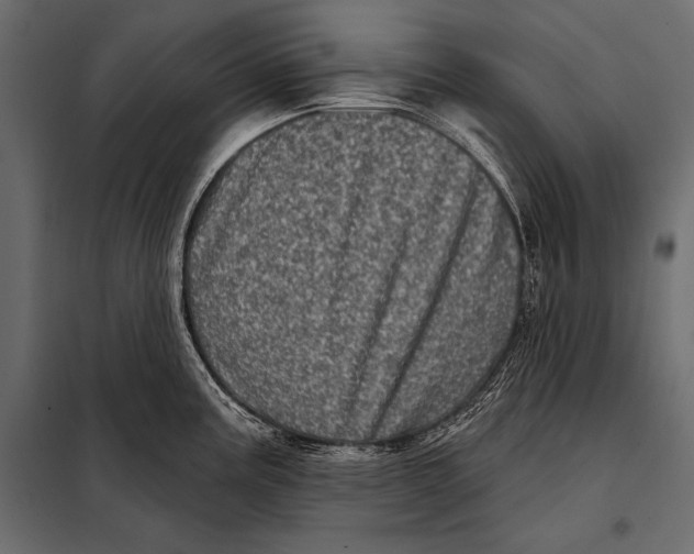 X0000098071195200804251431