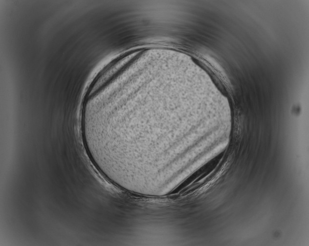 X0000098071196200804251431