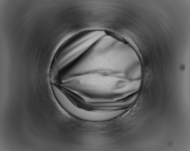 X0000098071197200804251431