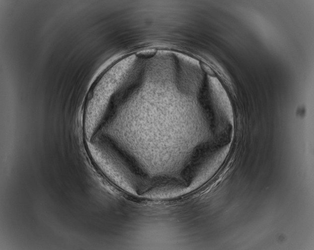 X0000098071198200804251431