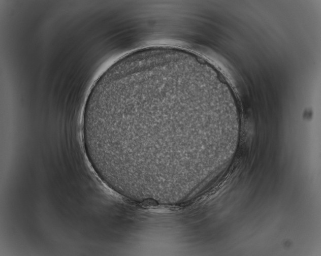 X0000098071199200804251431