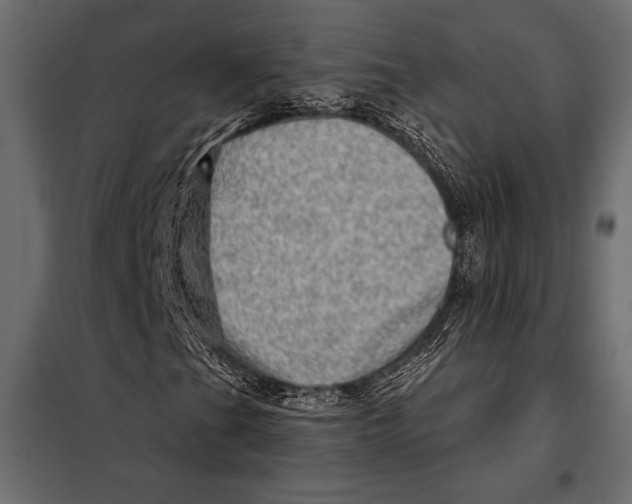 X0000098071201200804251430