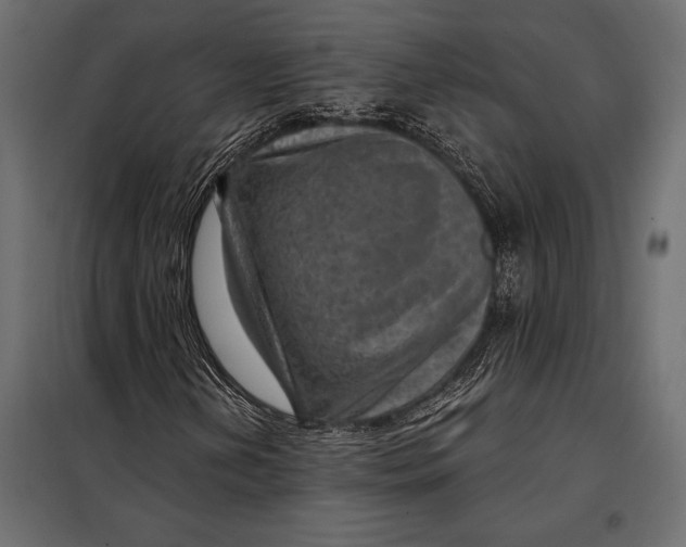 X0000098071202200804251430