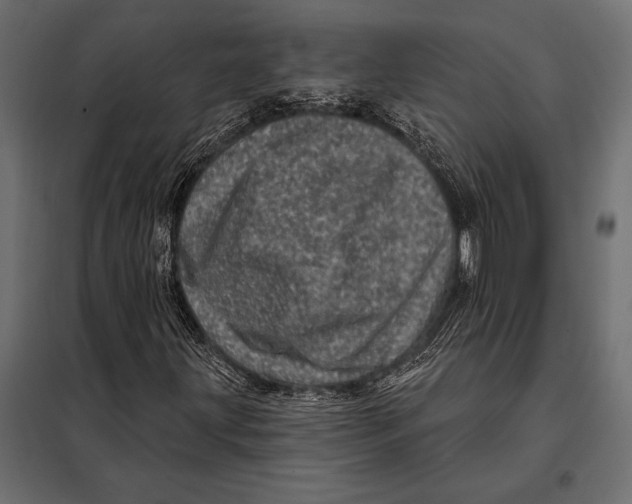 X0000098071203200804251430