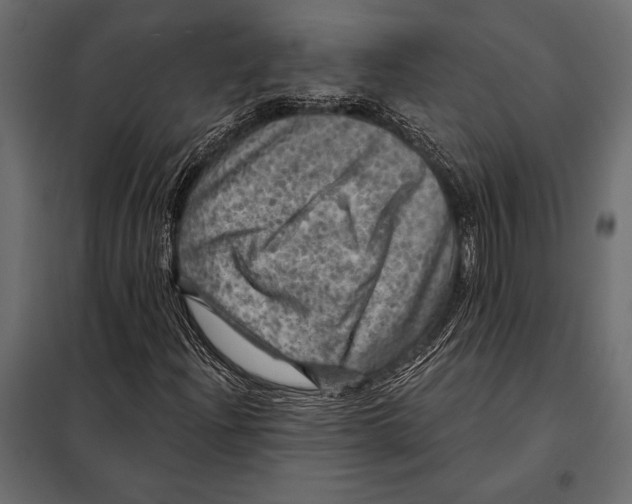 X0000098071204200804251430