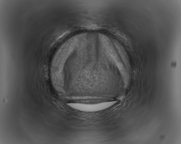 X0000098071205200804251430