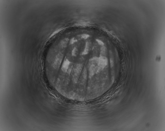 X0000098071206200804251430